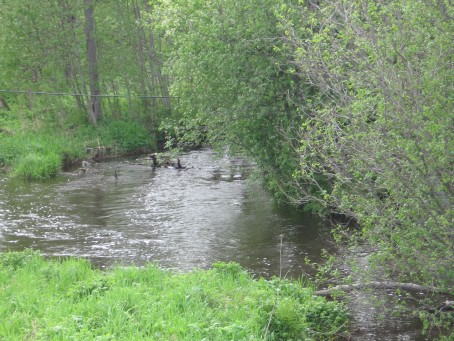 Vepsä 2