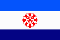 Piirikunnan lippu