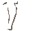 Vierailijat