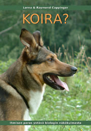 Koira?